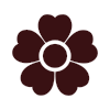 Flower Decoration