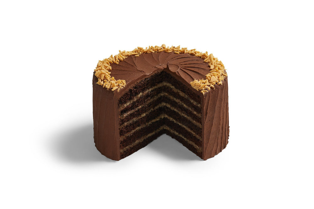 Mile High Chocolate Salted Caramel Cake